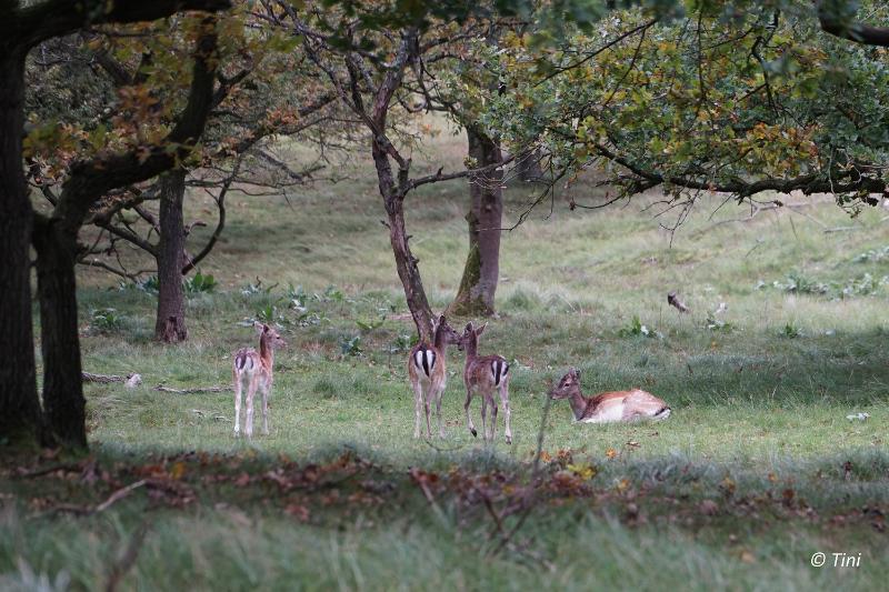 bd_DSC00304 (2).JPG - AWD 2017